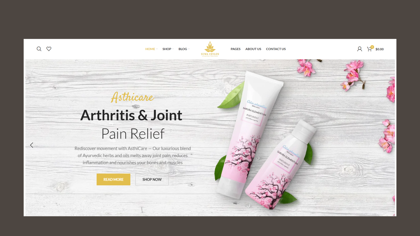 Web Design 1